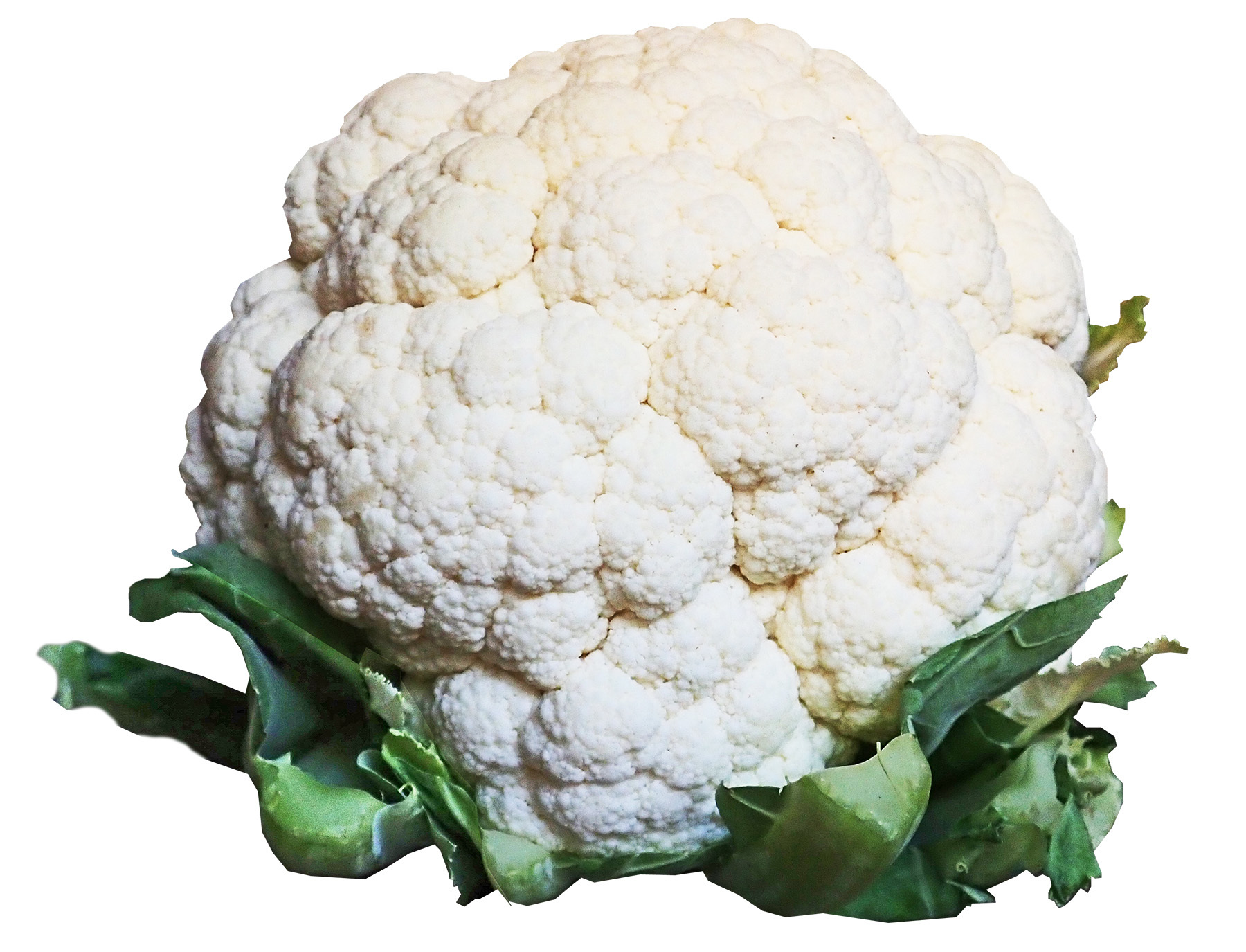 Blumenkohl Blumenkohl