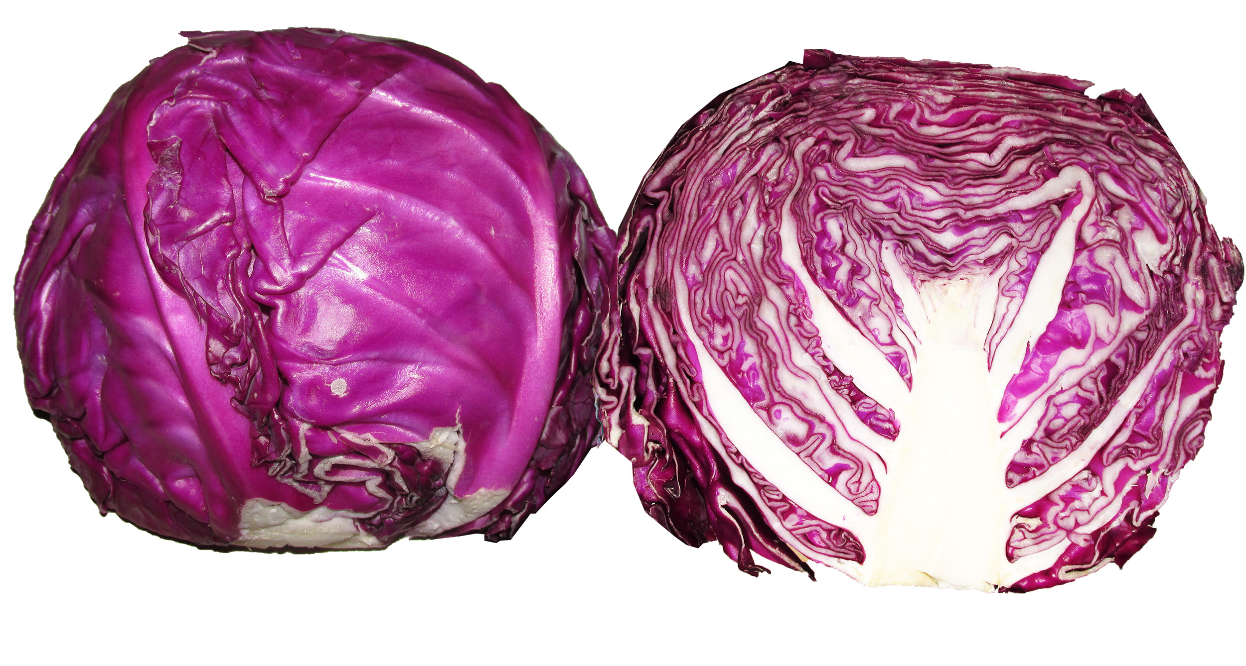 Rotkohl Rotkohl