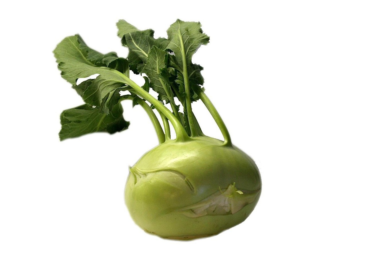 Kohlrabi Kohlrabi