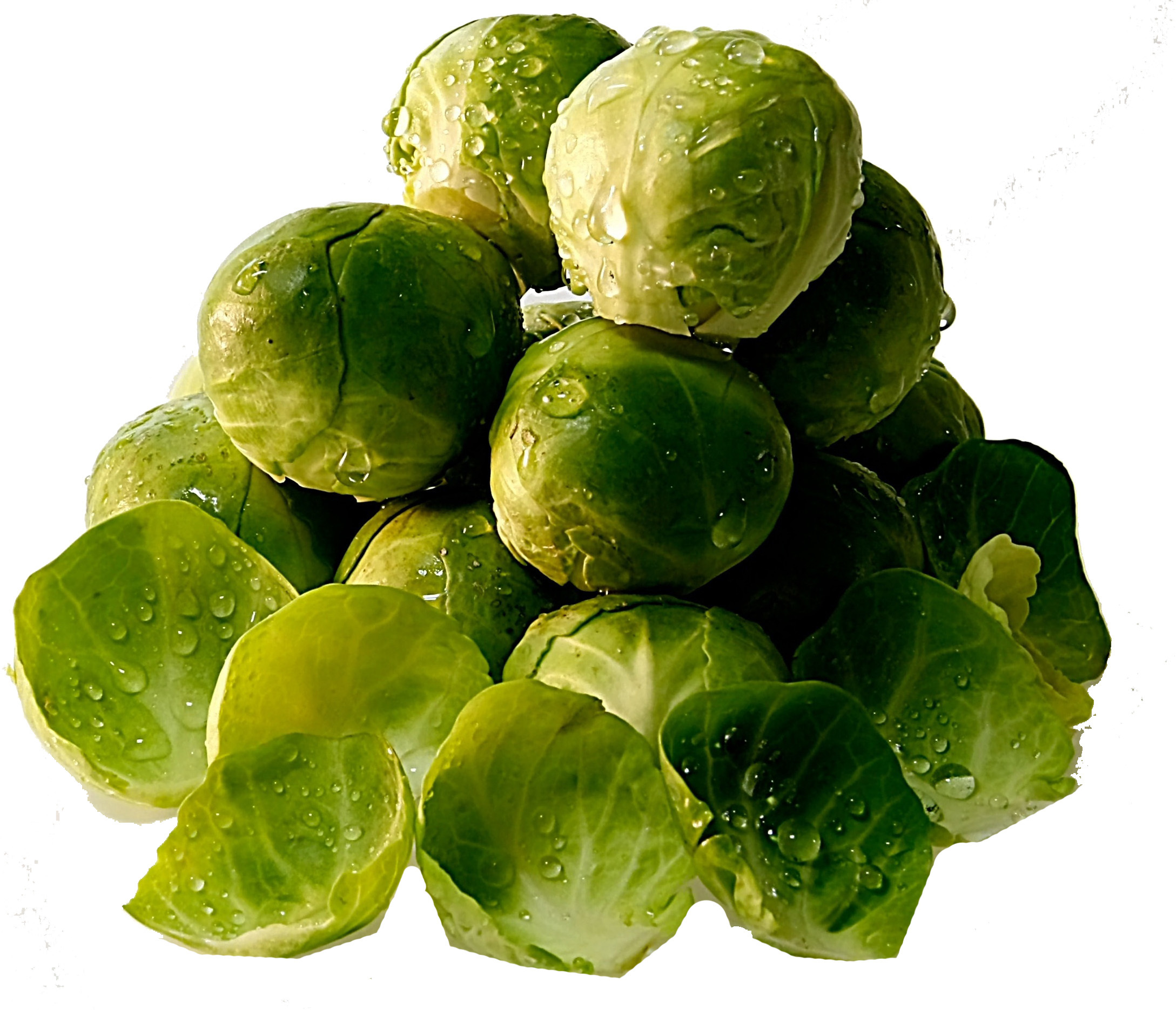 Rosenkohl Rosenkohl